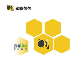 蜜蜂幫幫收購智蛙科技，騰訊11年資深員工為何選擇加入計算機軟硬件技術(shù)開發(fā)新舞臺
