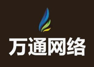 計算機技術(shù)服務(wù)綜合解決方案 從開發(fā)到集成與銷售